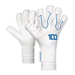 Vanguard (White/Blue)